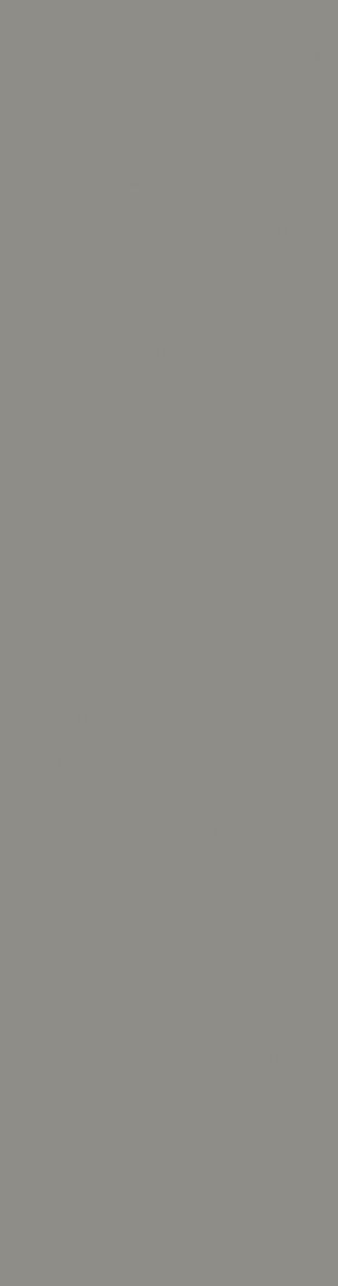 Cerámica INNOVA GREY 10x38